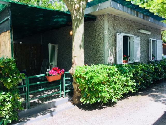 Camping Nuovo Massa (Tuscany) Exterior foto