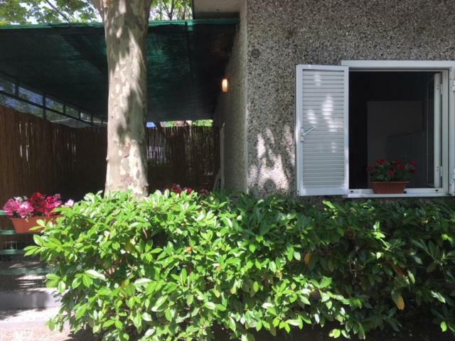Camping Nuovo Massa (Tuscany) Exterior foto