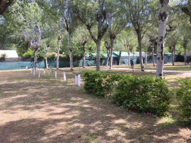 Camping Nuovo Massa (Tuscany) Exterior foto
