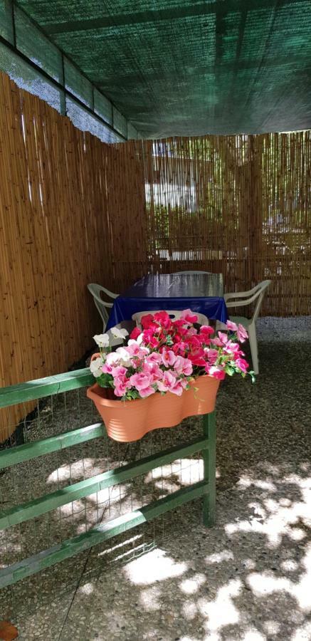 Camping Nuovo Massa (Tuscany) Exterior foto
