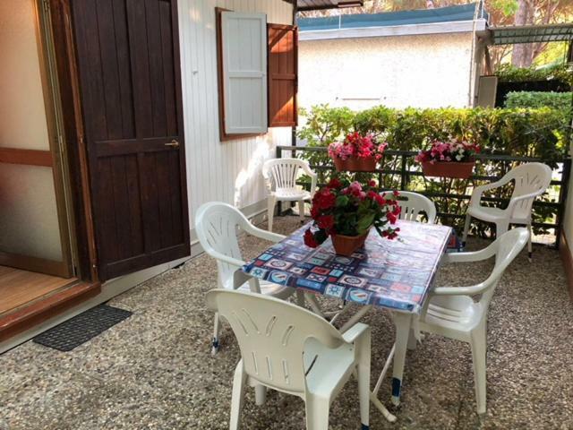 Camping Nuovo Massa (Tuscany) Exterior foto